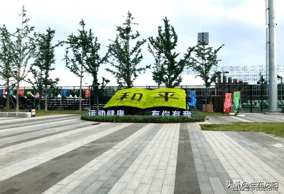 沈阳和平杯世界足球公园在哪,沈阳和平杯足球公园场地