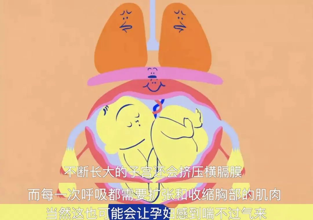 一个孕妇的独白句子,一个孕妇的独白