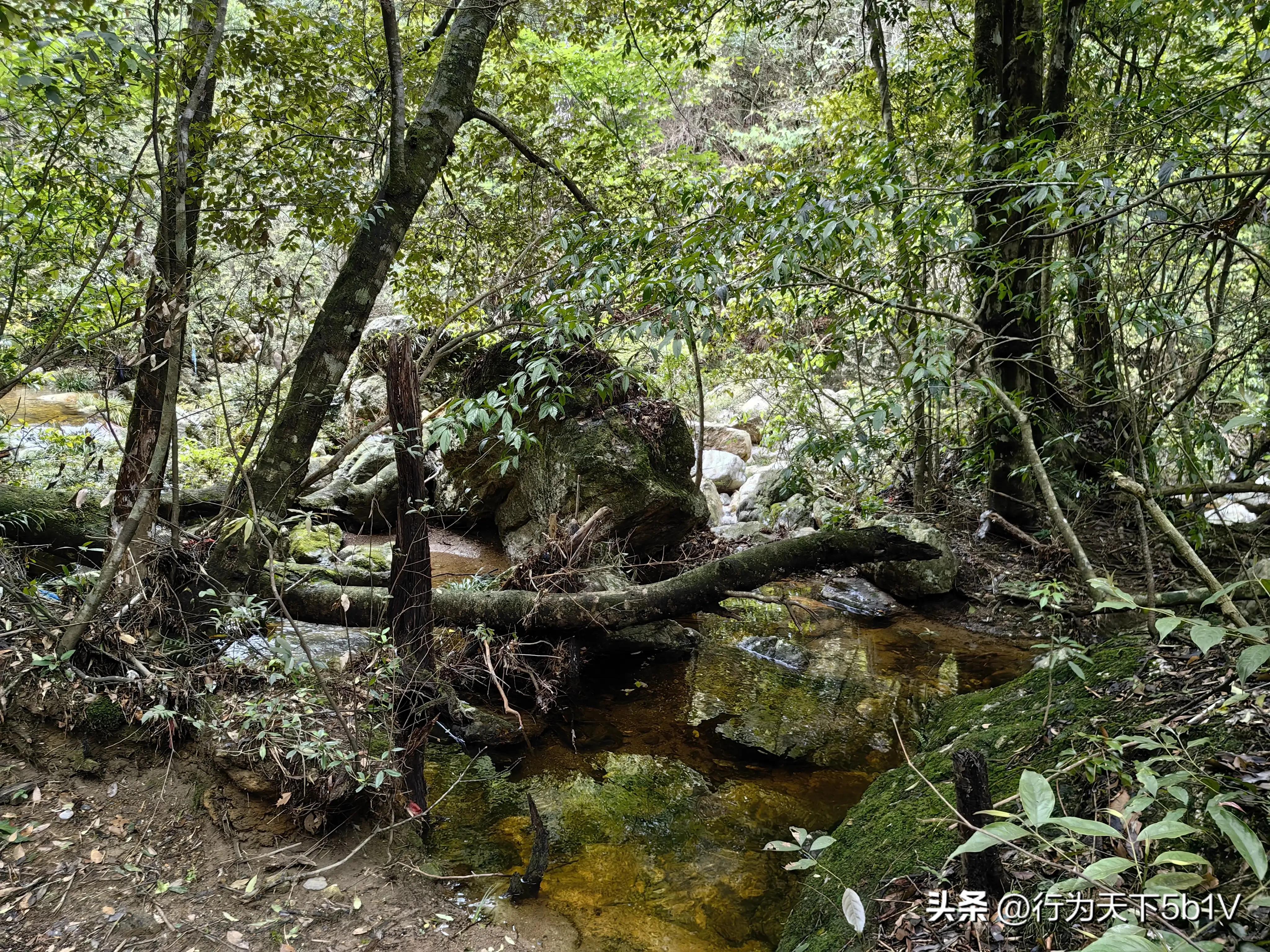【探秘宛田红滩瀑布溯溪梦江吉翁瀑布】穿越花坪神秘风景线