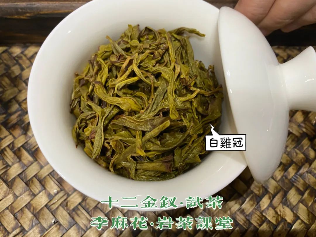 四大名枞白鸡冠岩茶一斤多少钱,岩茶白牡丹是什么茶