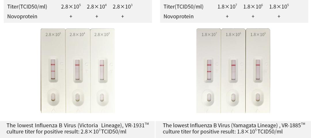 新冠病毒抗原检测用不用上报,新冠抗原测不出能排除新冠感染吗