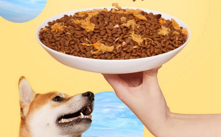 海洋之星好还是皇家狗粮好,海洋之星哪一款狗粮适合泰迪