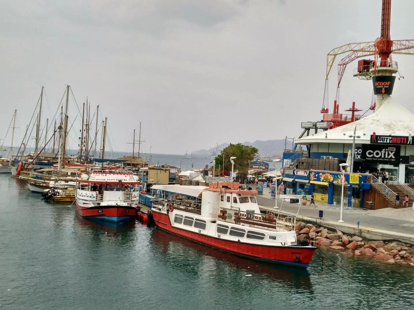 以色列犹太民族的惨痛心酸历史,以色列犹太民族历史