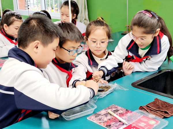 【特色亮点】汉滨区果园小学：“三加三融三贯通”促进科学教育走深走实
