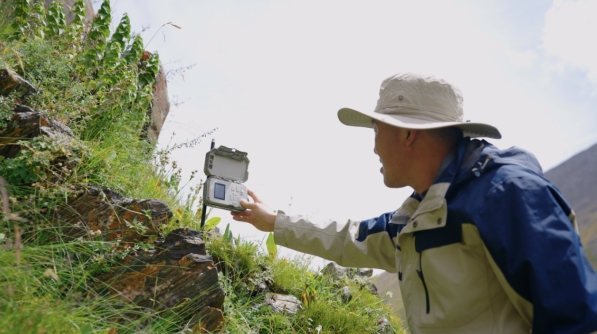 世界雪豹日宣传片,世界雪豹