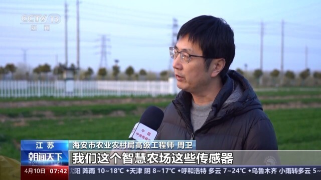 写字楼里农事忙“数字大田”用上了卫星遥感技术