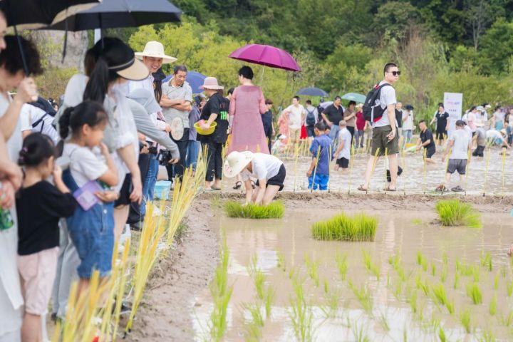 浙江丽水市缙云新碧街道,丽水缙云风景区介绍