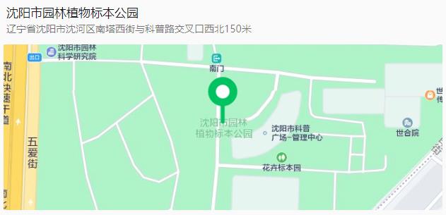 沈阳樱花拍照打卡,沈阳赏花打卡地