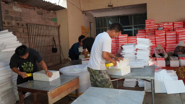 元江三月红早熟荔枝上市,云南元阳三月红荔枝抢鲜上市