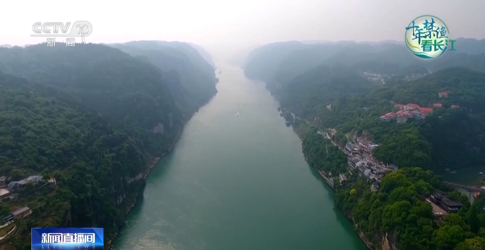 长江禁渔鱼类数据变化,长江禁渔三年多鱼儿们过得怎么样