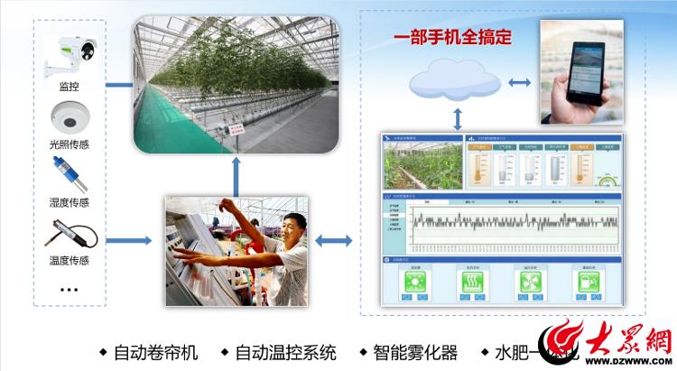 潍坊寿光市：锚定“芯”赛道抢占“智”高点为农业现代化装上“数字引擎”