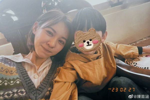 陈意涵二胎后样子,陈意涵二胎了吗
