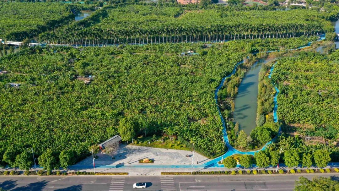 抓住暑假的尾巴哪里可以玩,麻涌的旅游景点推荐