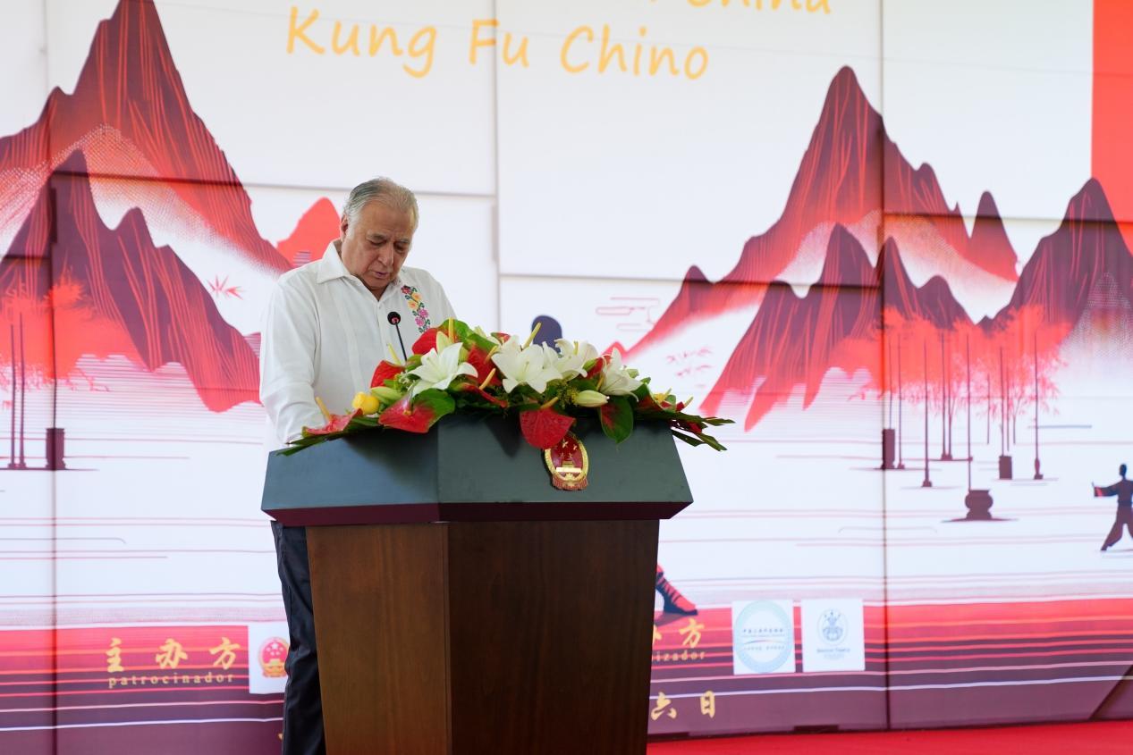 中国驻日大使馆活动,中国驻美使馆春节活动