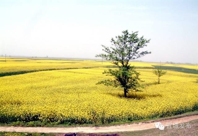 宜城过年气氛,宜城年味