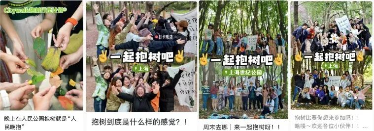 谁懂啊！沪上年轻人开始流行“抱树”解压了