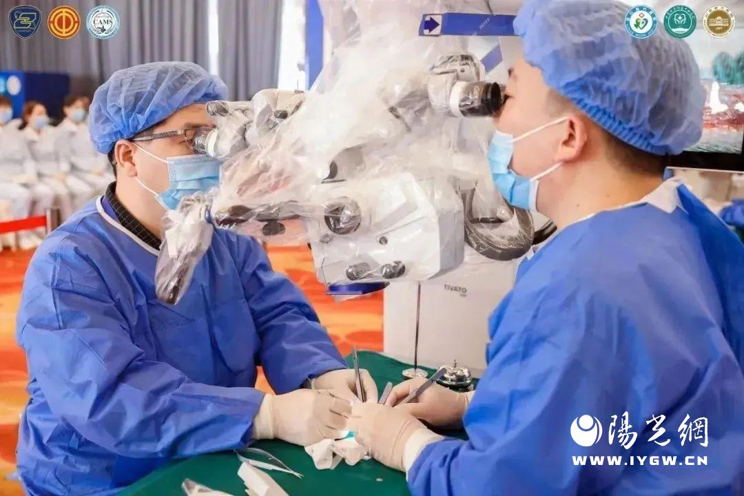 显微血管缝合大赛,超级显微血管吻合大赛