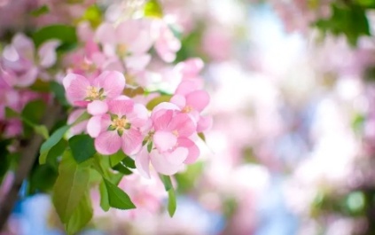 沈阳下周冷空气消息,冷空气来袭沈阳有雨也有雪