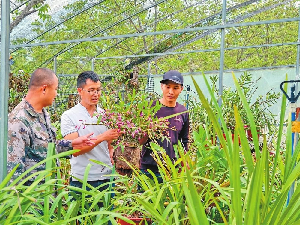 凤庆可以投资什么项目,凤庆生意投资