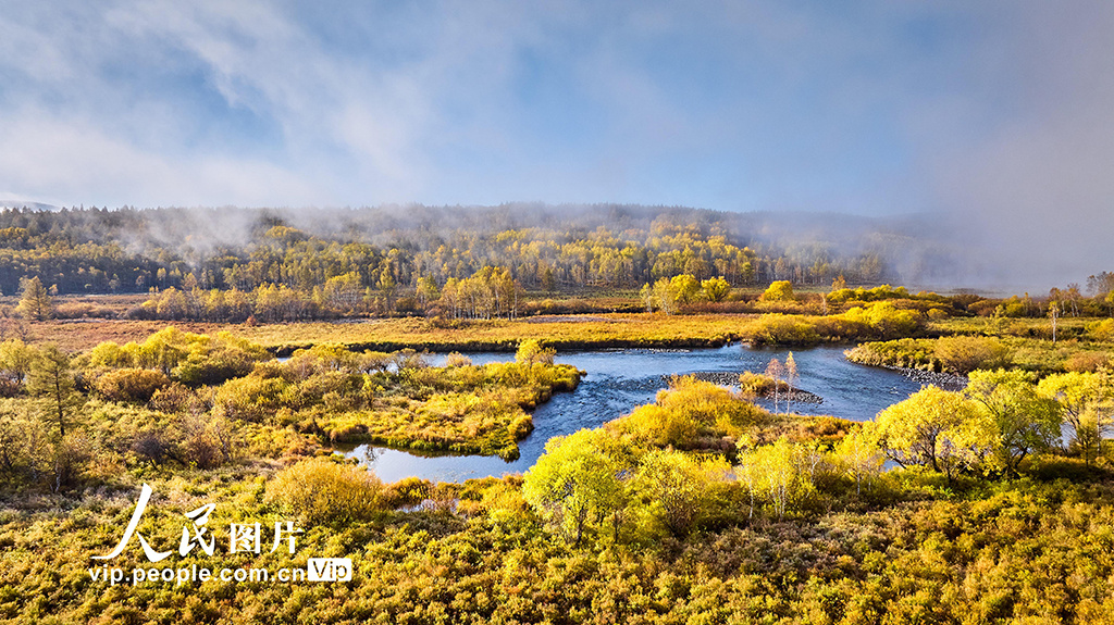 内蒙阿尔山美景视频,阿尔山国家森林公园的秋色