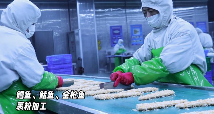 山东荣成海带加工车间,荣成海产品生产厂家大全