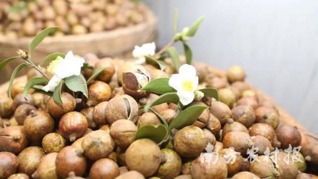 锚定万亿级,锚定高质量发展百千万工程