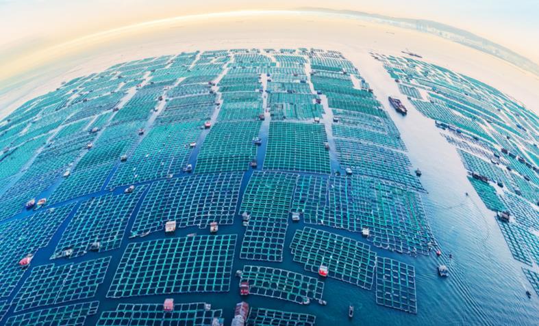 长岛蓝色粮仓经济开发区,山东长岛海洋基地