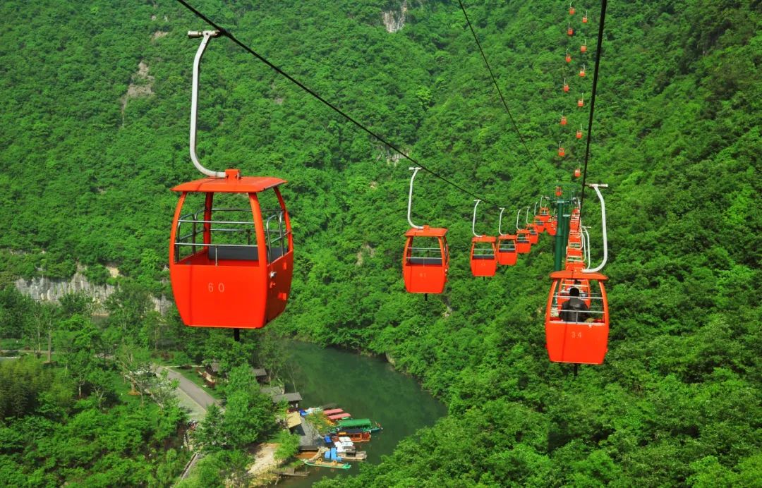 免费！半价！南漳的“爱”给特别的“她”