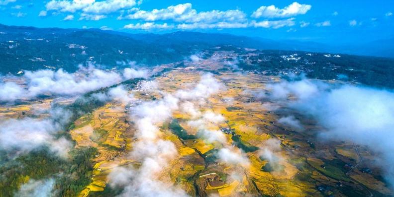 科学家论坛能为腾冲带来什么,腾冲科学家论坛为什么在腾冲召开