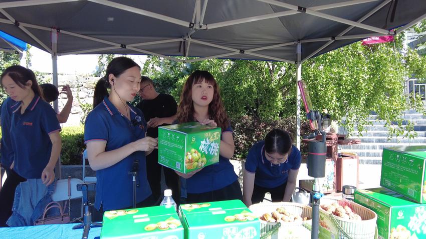 保康核桃,保康马桥黄龙观核桃丰收节直播