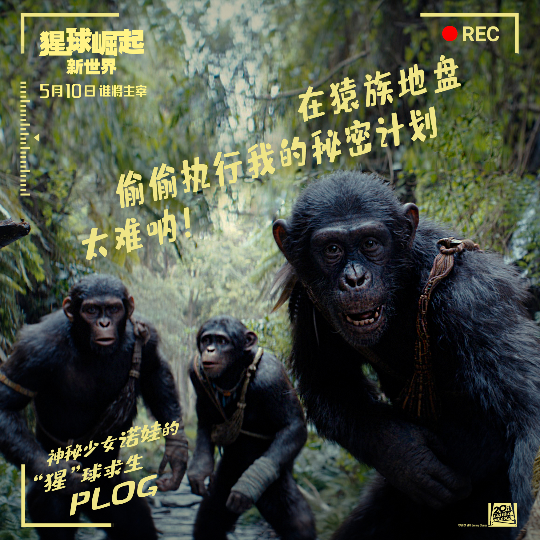 猩球崛起新世界深度解析,猩球崛起真的和人类打谁能赢