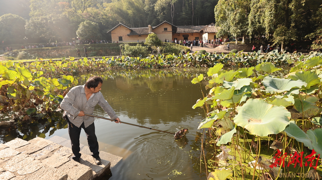 建好“盛水的盆”，管好“盆里的水”，治好“岸上的污”——韶山冲，水美鱼欢鸟翩跹
