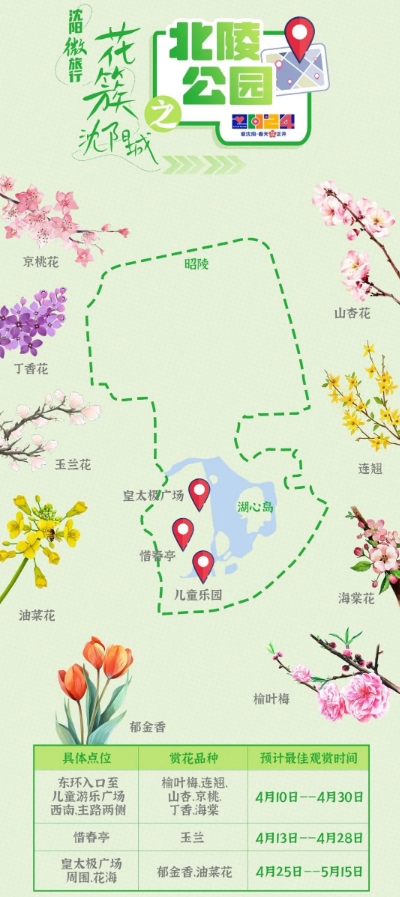 沈阳樱花拍照打卡,沈阳赏花打卡地