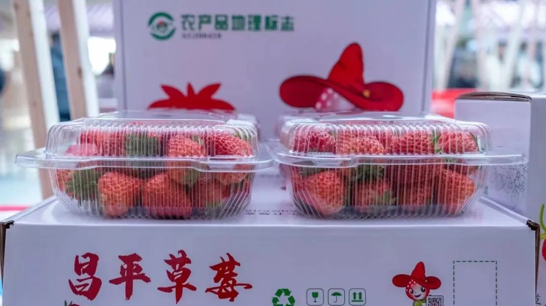 昌平可以摘草莓的地方,昌平摘草莓