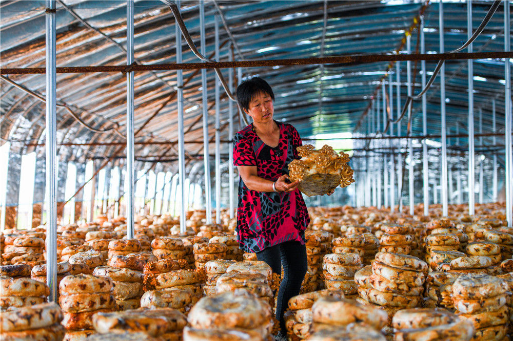 小康不是梦,小康不是梦快乐女声