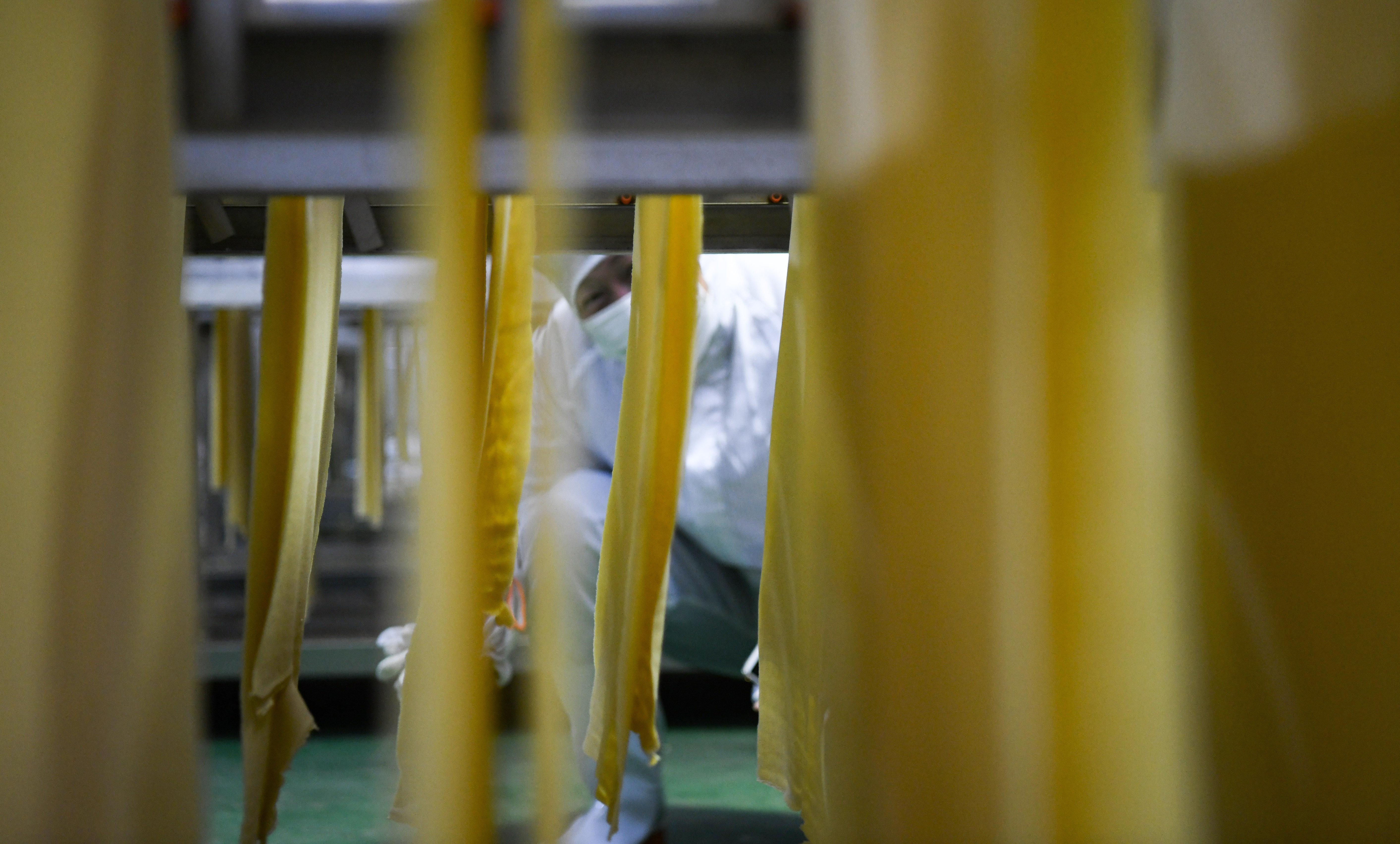 隆化县乡村振兴图片,隆化种植药材收入