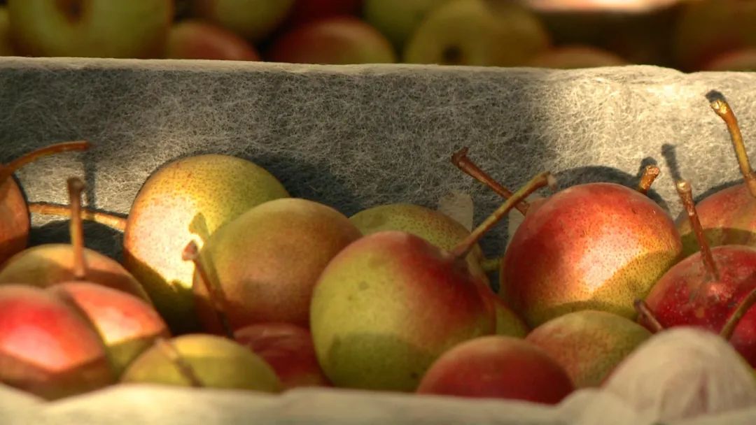 产值1亿元左右的农业企业,产值1亿的产业