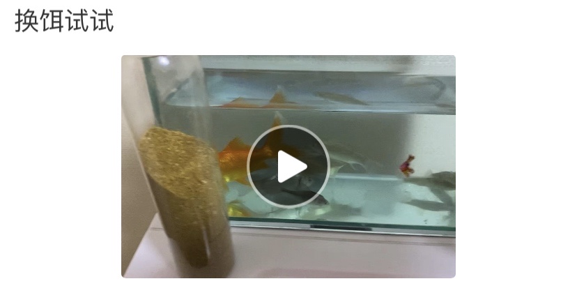 玉米面总是揉不成团,玉米面不筋道怎么办