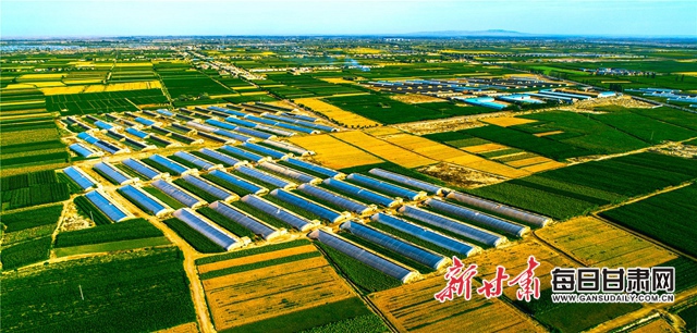 武威市人代会精神,武威党代会报告