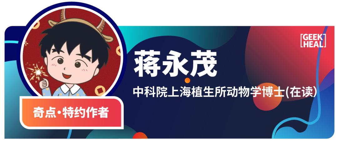 JAMA子刊：中老年人更需警惕“啤酒肚”！近6万中国人4年随访数据表明，体重减轻但腰围增加的人群与死亡风险增加69%相关