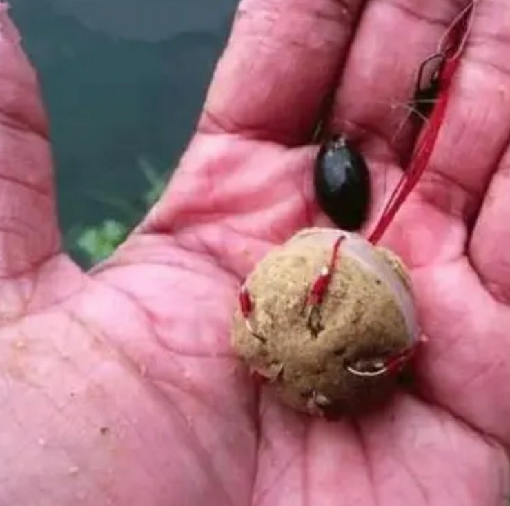 冬天用矶竿绑串钩怎么找钓点,矶钓竿绑串钩全套方法