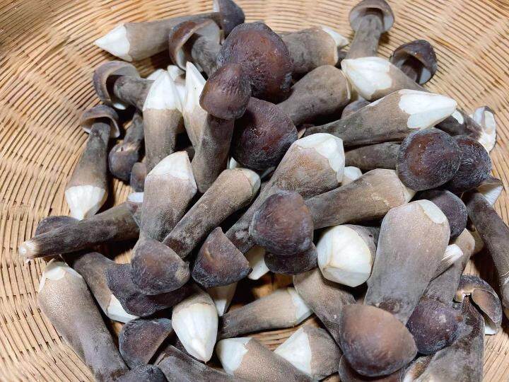 滋补养生小火锅推荐的菜,养生小火锅家庭版