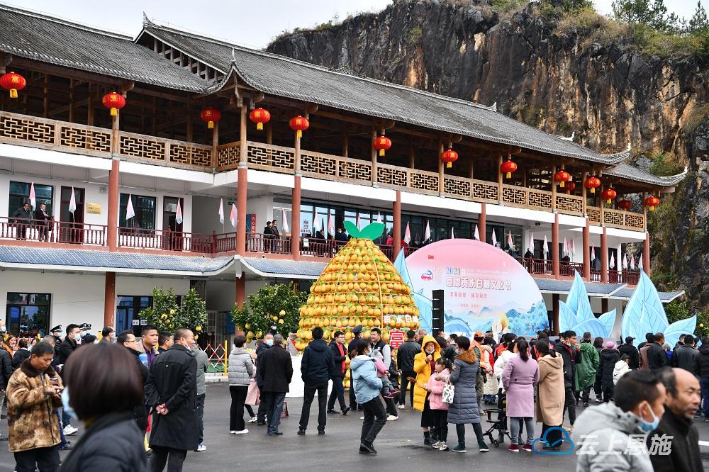 宣恩：山货“柚”走俏线上线下忙不停