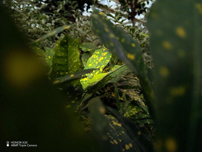 荣耀x30全面测评,荣耀x30上手体验