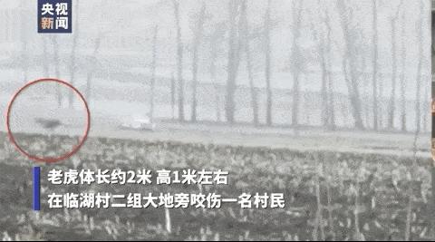 2021十大地球BUG，每一个都细思极恐