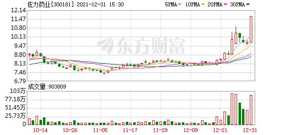 佐力药业2020年是否盈利,佐力药业股票业绩