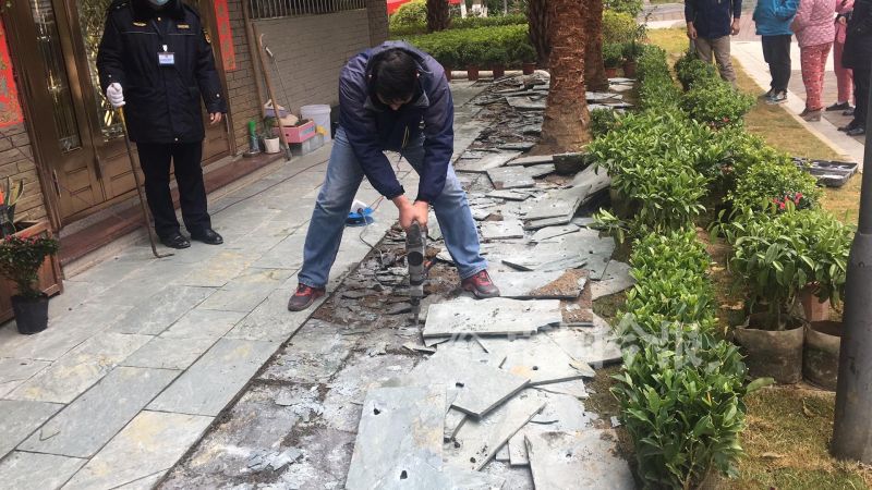 铲除公共绿地铺假草骗城管？柳州这户人家如此操作也是无语了