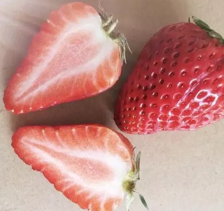 激素草莓是空心的吗,草莓畸形空心是用了激素了吗