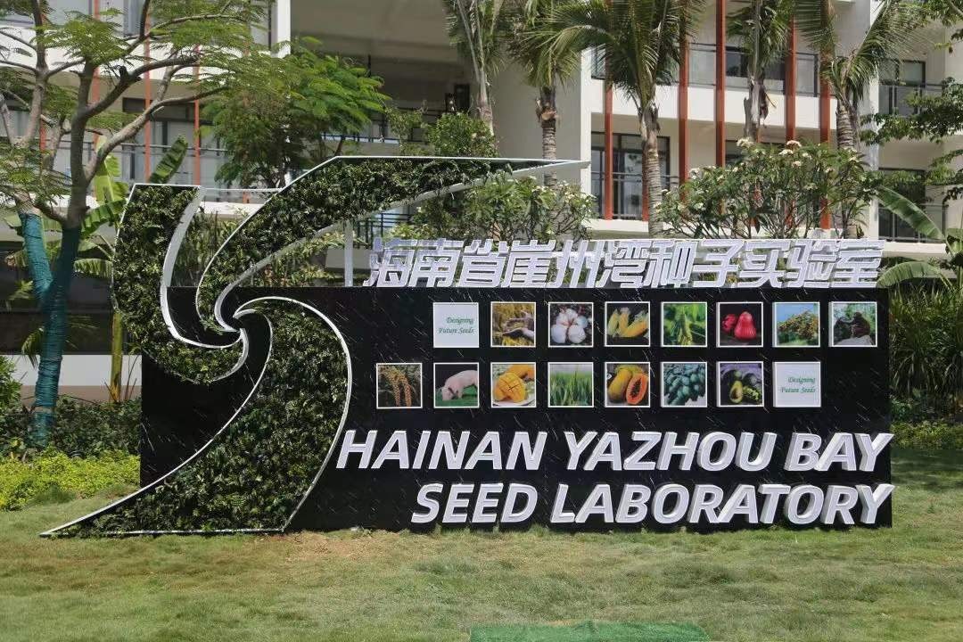 「开局十四五」海南:中国最大特区“买全球”“卖全球”聚四方之才筑国际自贸港高地