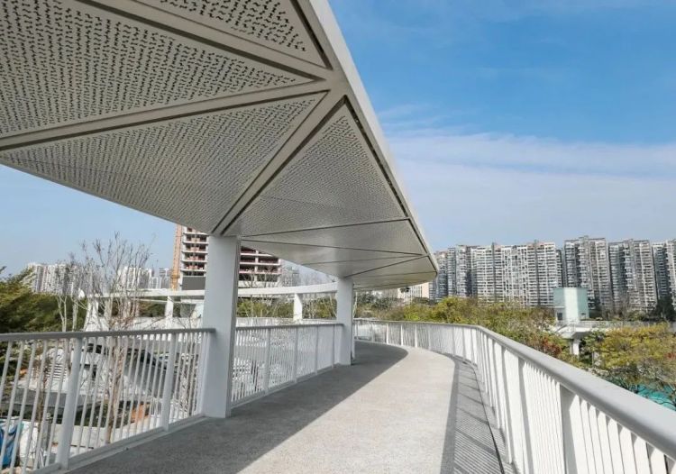 连城达海三位一体，春节期间开放，宝安新地标滨海廊桥抢先看